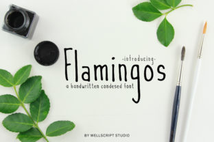 Flamingos Script Font for Boutique Branding and Packaging