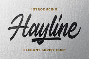 Hayline Typeface Review for Modern Web Design Projects