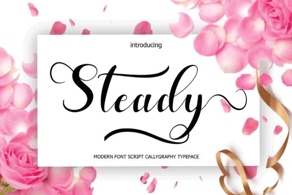 Steady Script Handwritten Font Review