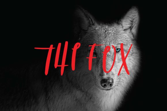 The Fox Font: Adding Raw Energy to Handmade Labels and Invitations